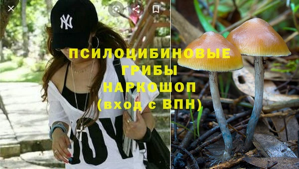 соль курить ск Алзамай