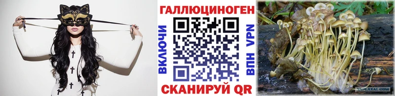 цены   Шумиха  Галлюциногенные грибы MAGIC MUSHROOMS 